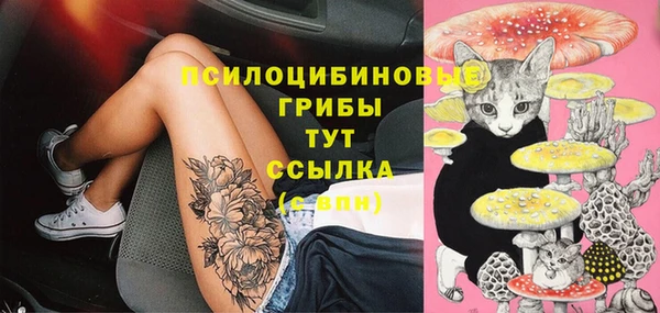 спиды Алексеевка