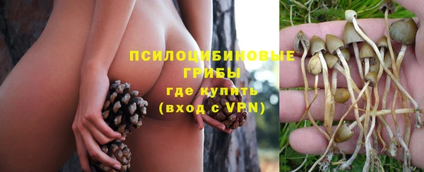 первитин Надым