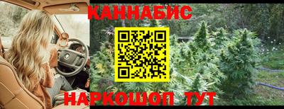 МДПВ Новоалтайск