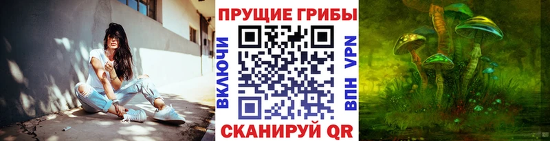 Галлюциногенные грибы Psilocybe Астрахань