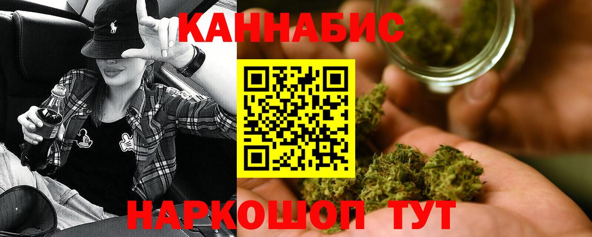Бошки Шишки планчик Астрахань